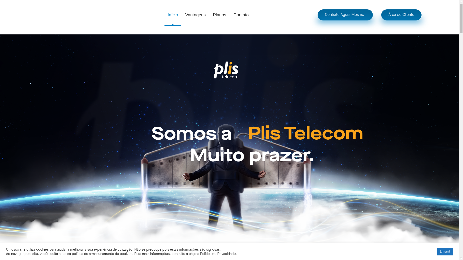 website screenshot of https://plistelecom.store/