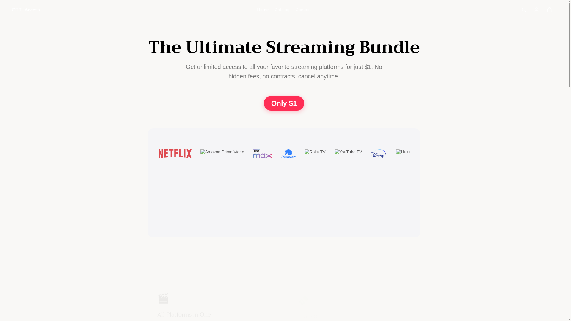 website screenshot of https://ott-access.com/