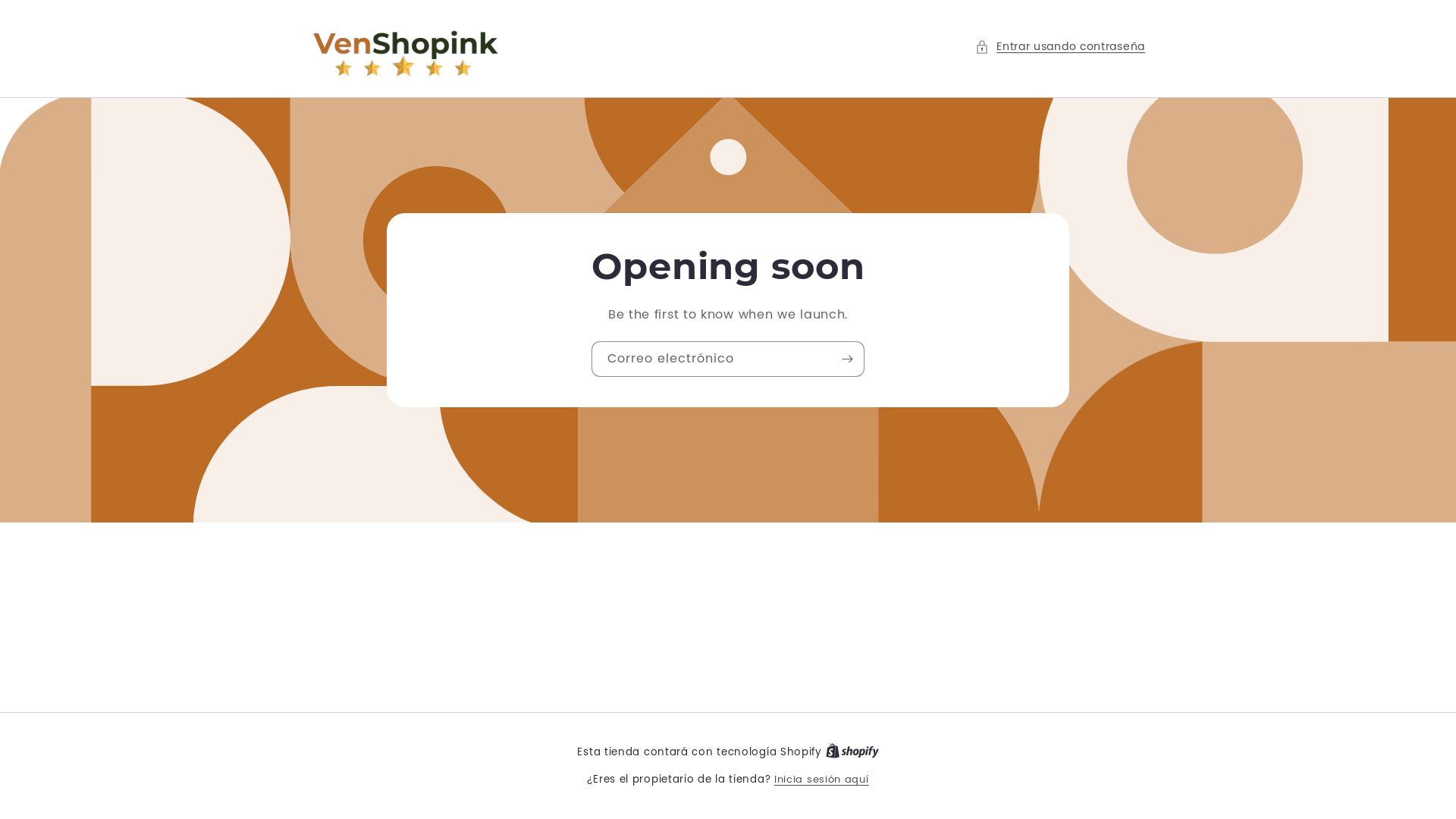 website screenshot of https://venshopink.com/