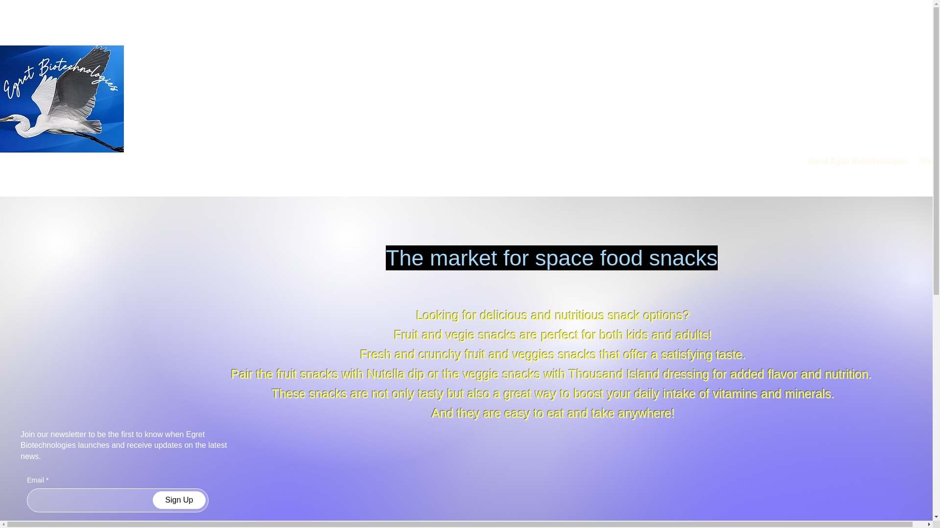 website screenshot of https://chilloutsnack.com/