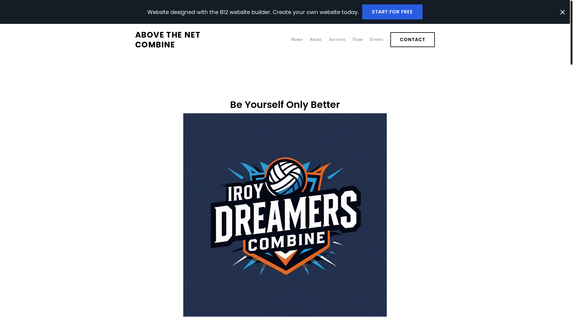 website screenshot of https://abovethenetvbcombine.com/