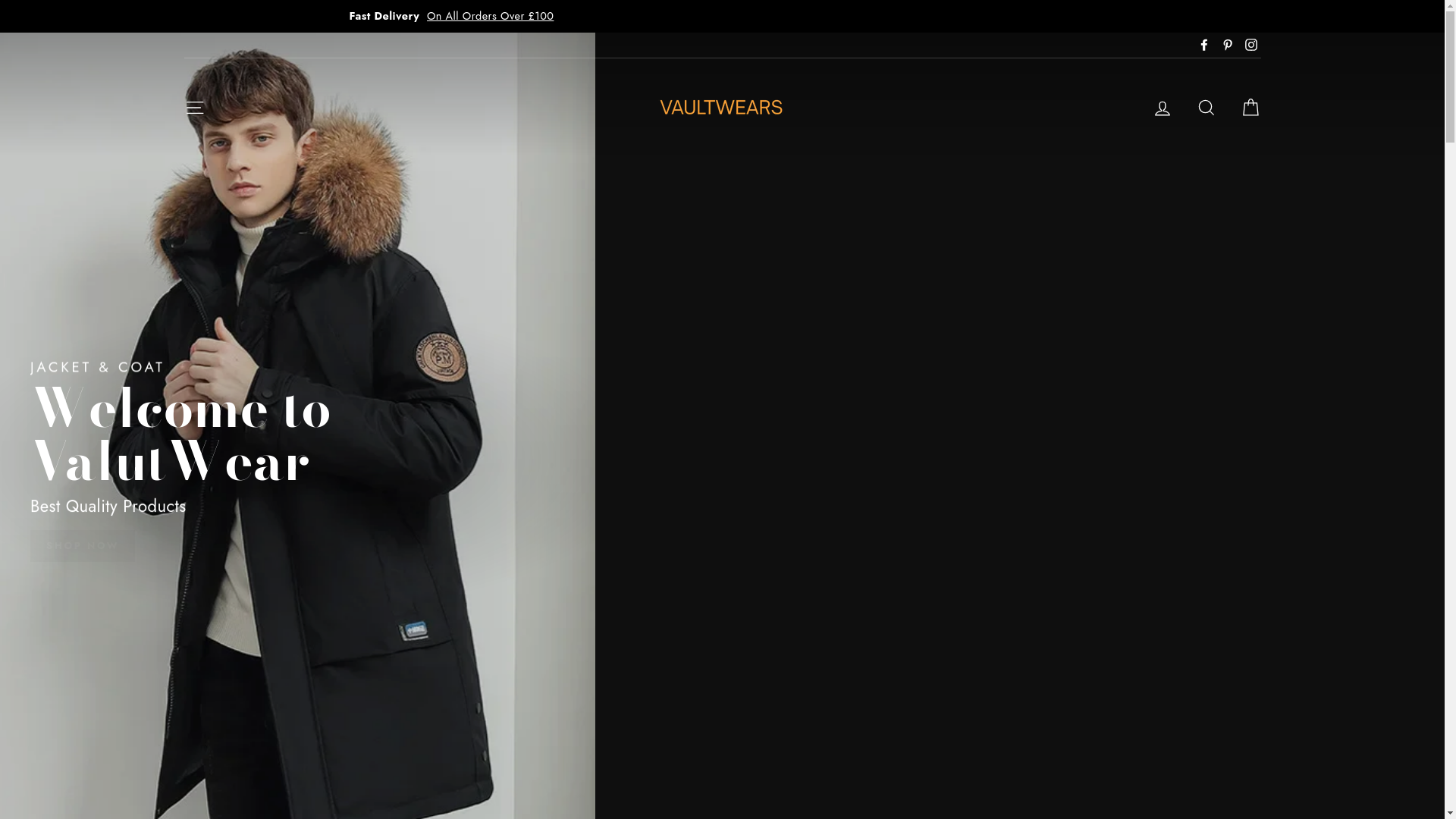 website screenshot of https://vaultwearstore.store/