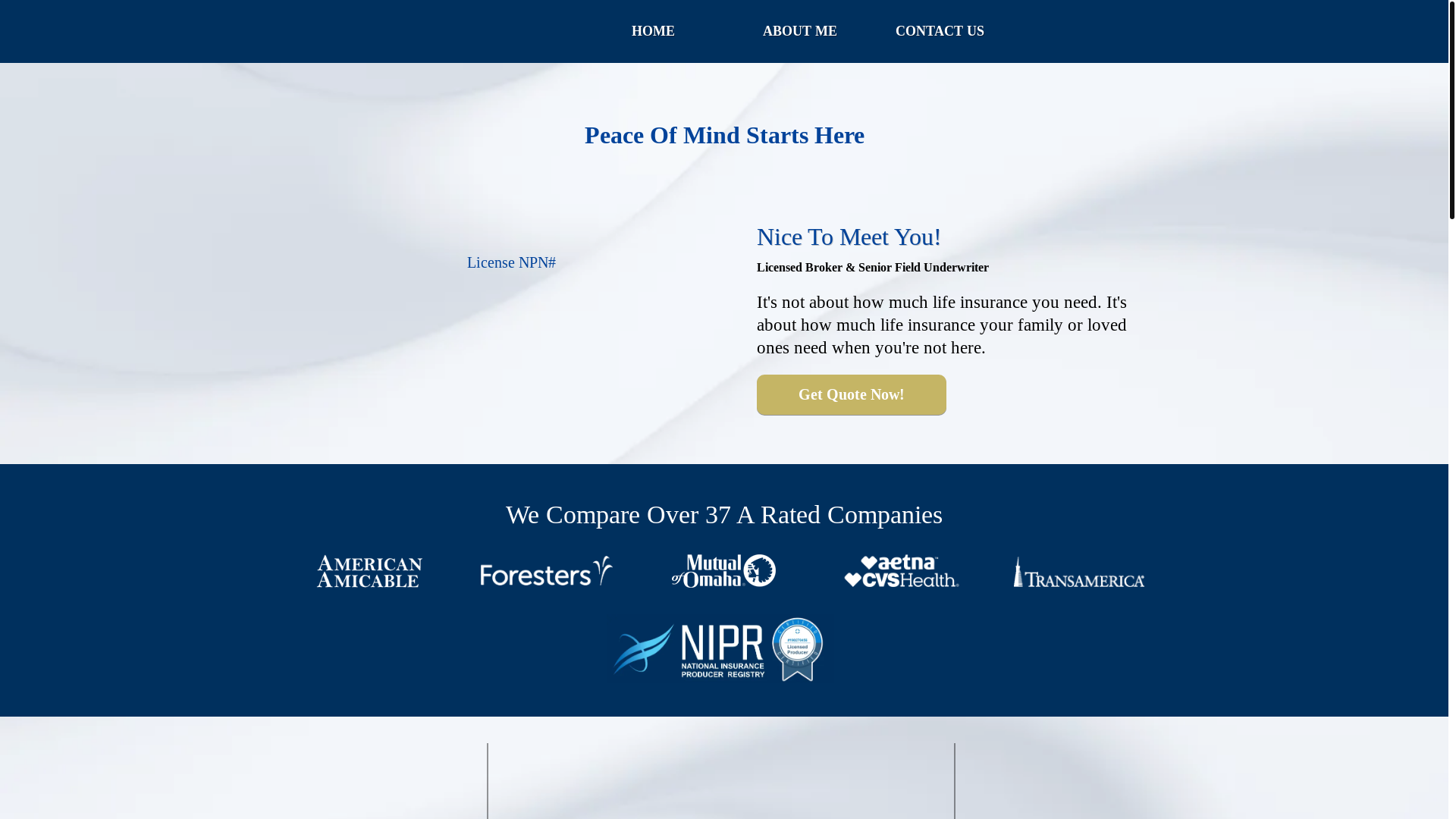 website screenshot of https://previsoralife.com/