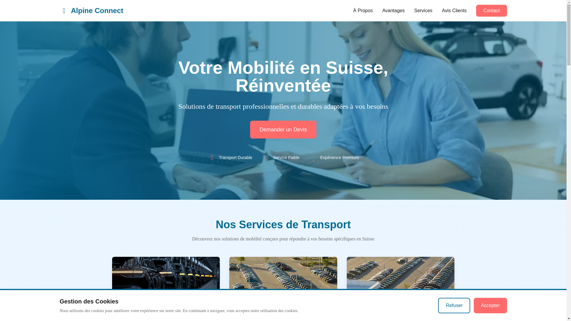 website screenshot of https://alpinconnect.biz/