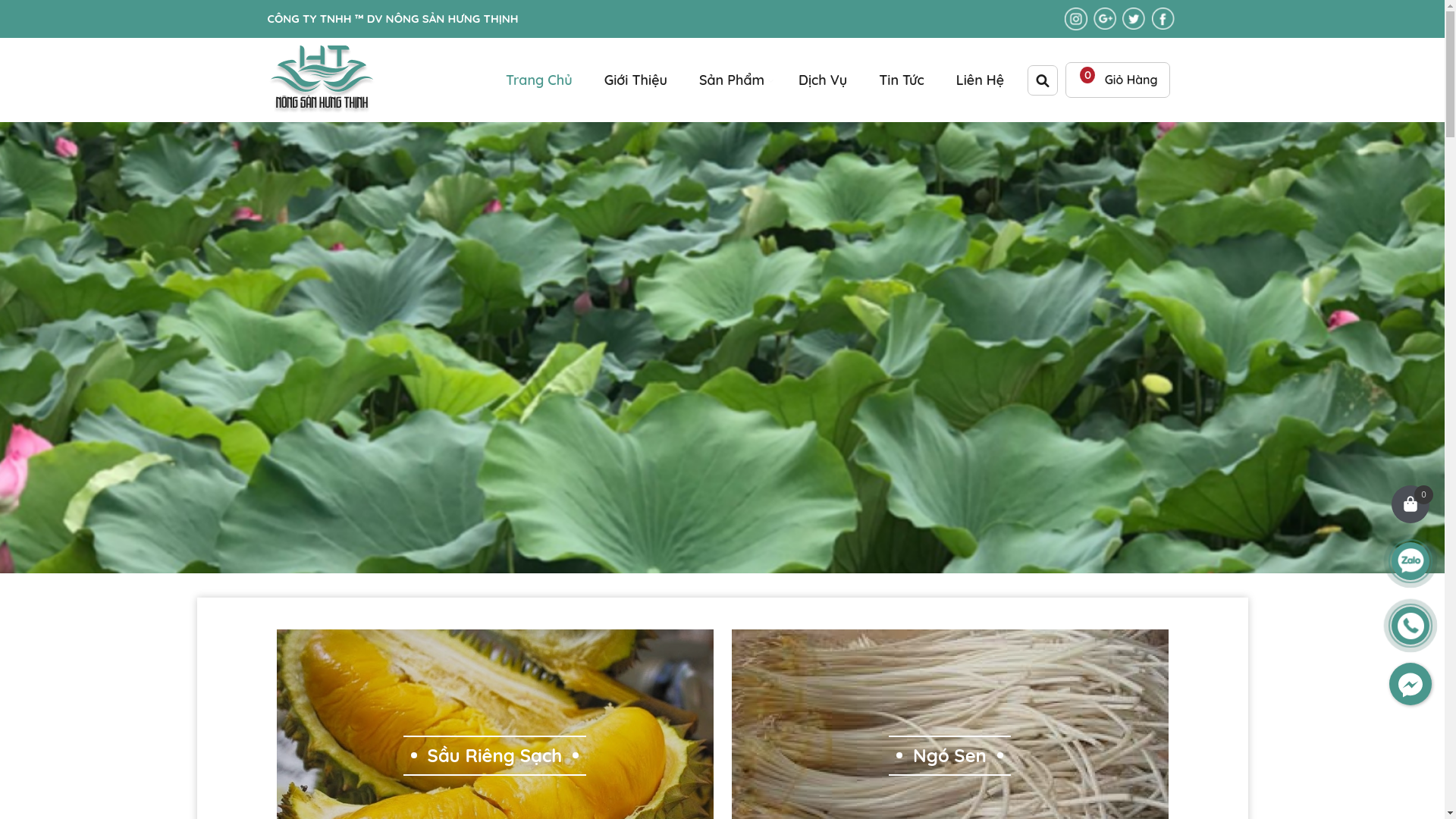 website screenshot of https://nongsanbinhngoc.com/