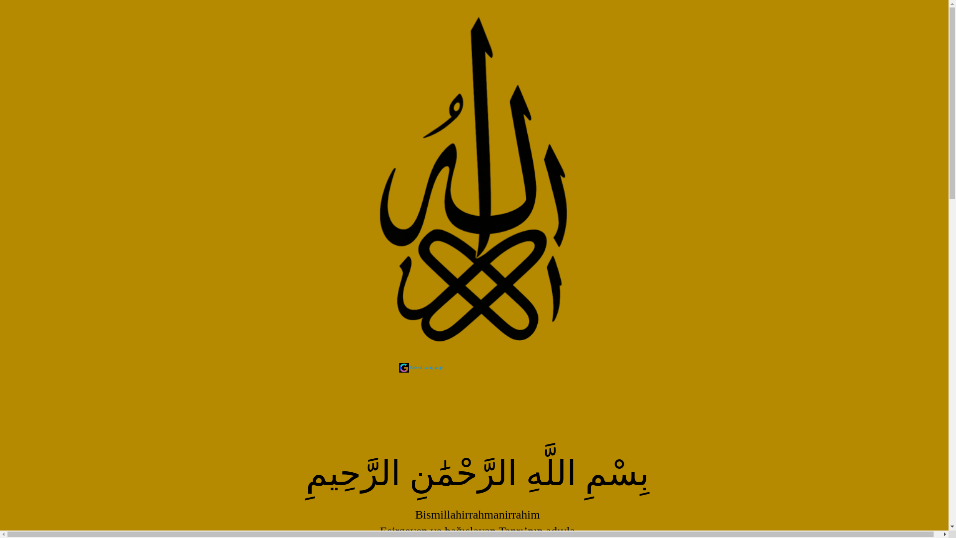website screenshot of https://yaradan.tr/