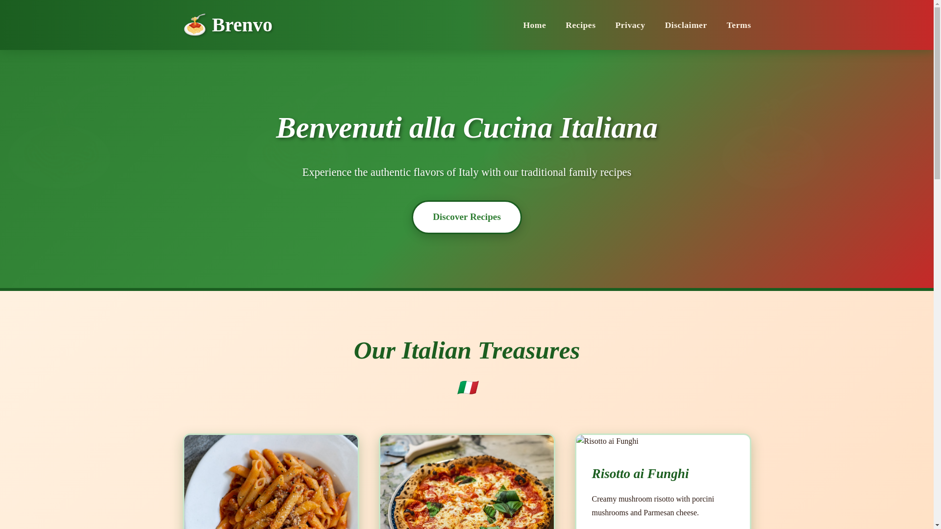 website screenshot of https://brenvo.info/