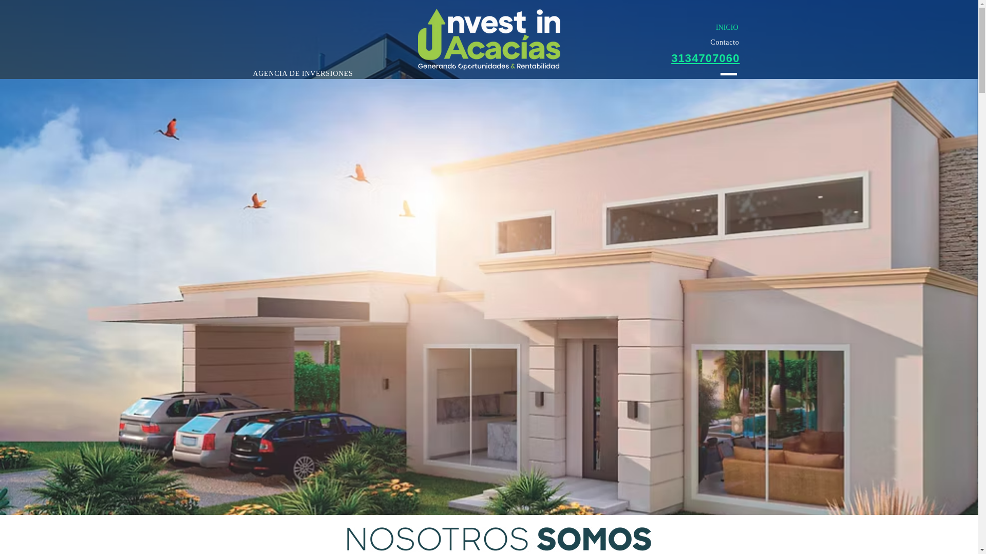 website screenshot of https://investinacacias.com.co/
