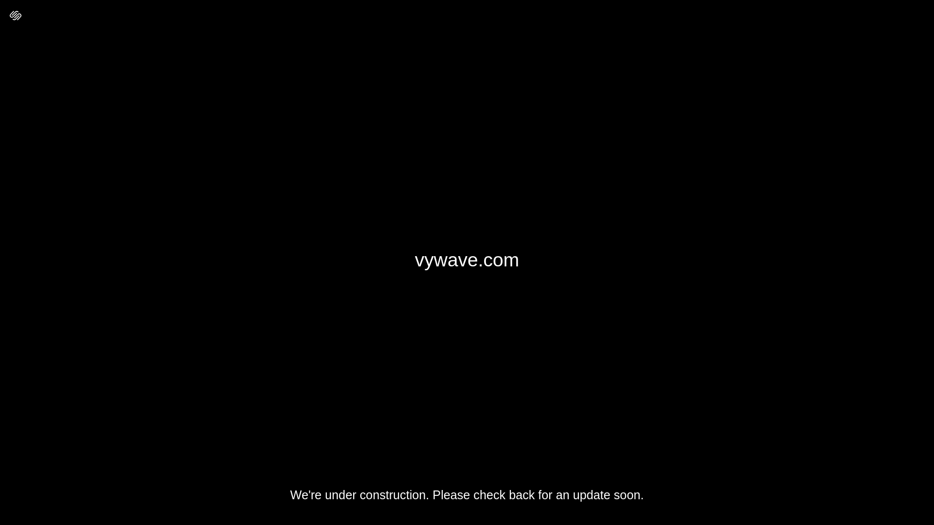 website screenshot of https://vywave.com/