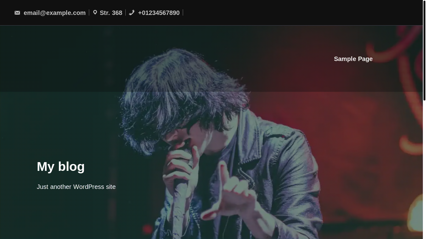 website screenshot of https://losbandalos.com/