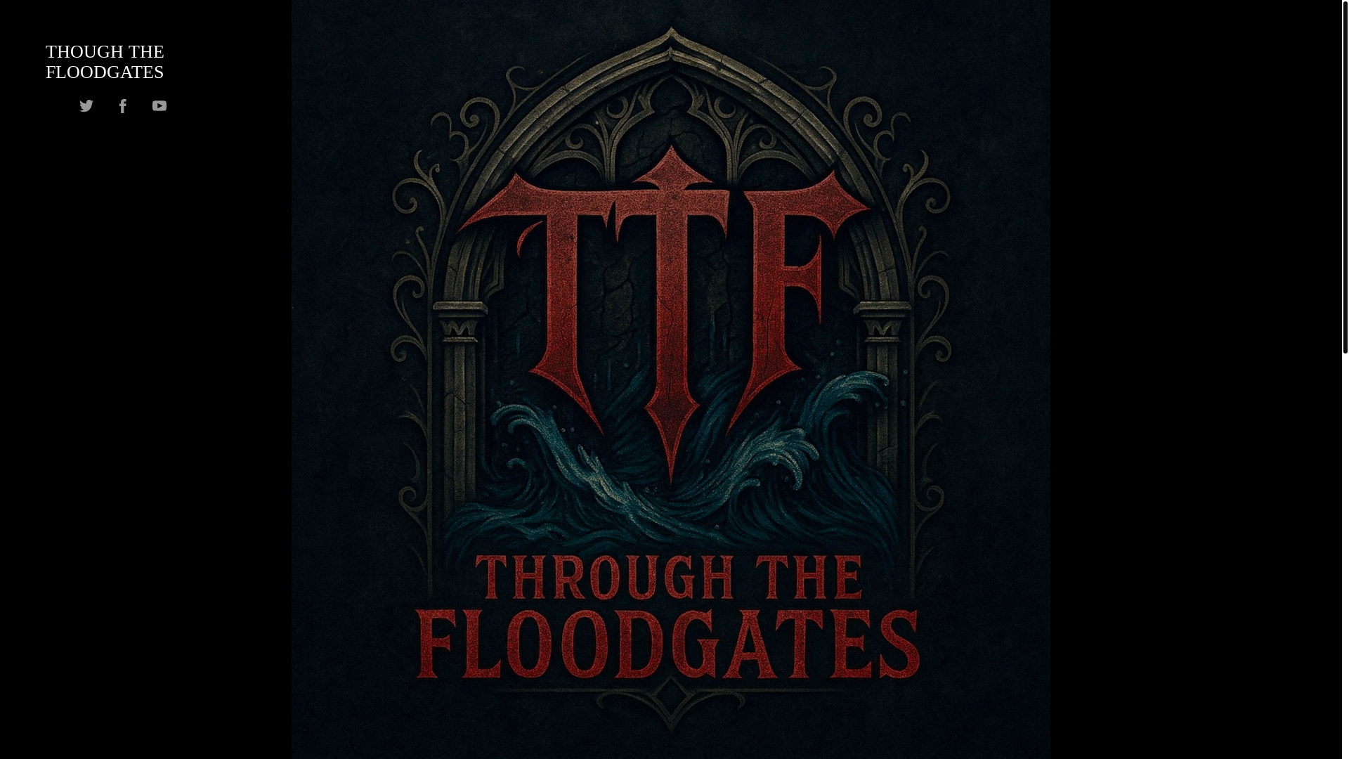 website screenshot of https://ttfband.com/
