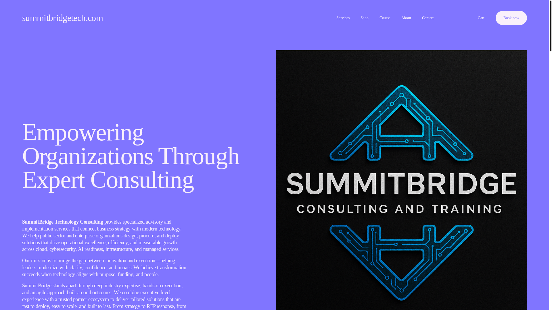 website screenshot of https://summitbridgetech.com/