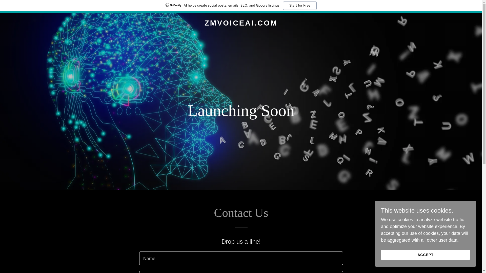 website screenshot of https://zmvoiceai.com/