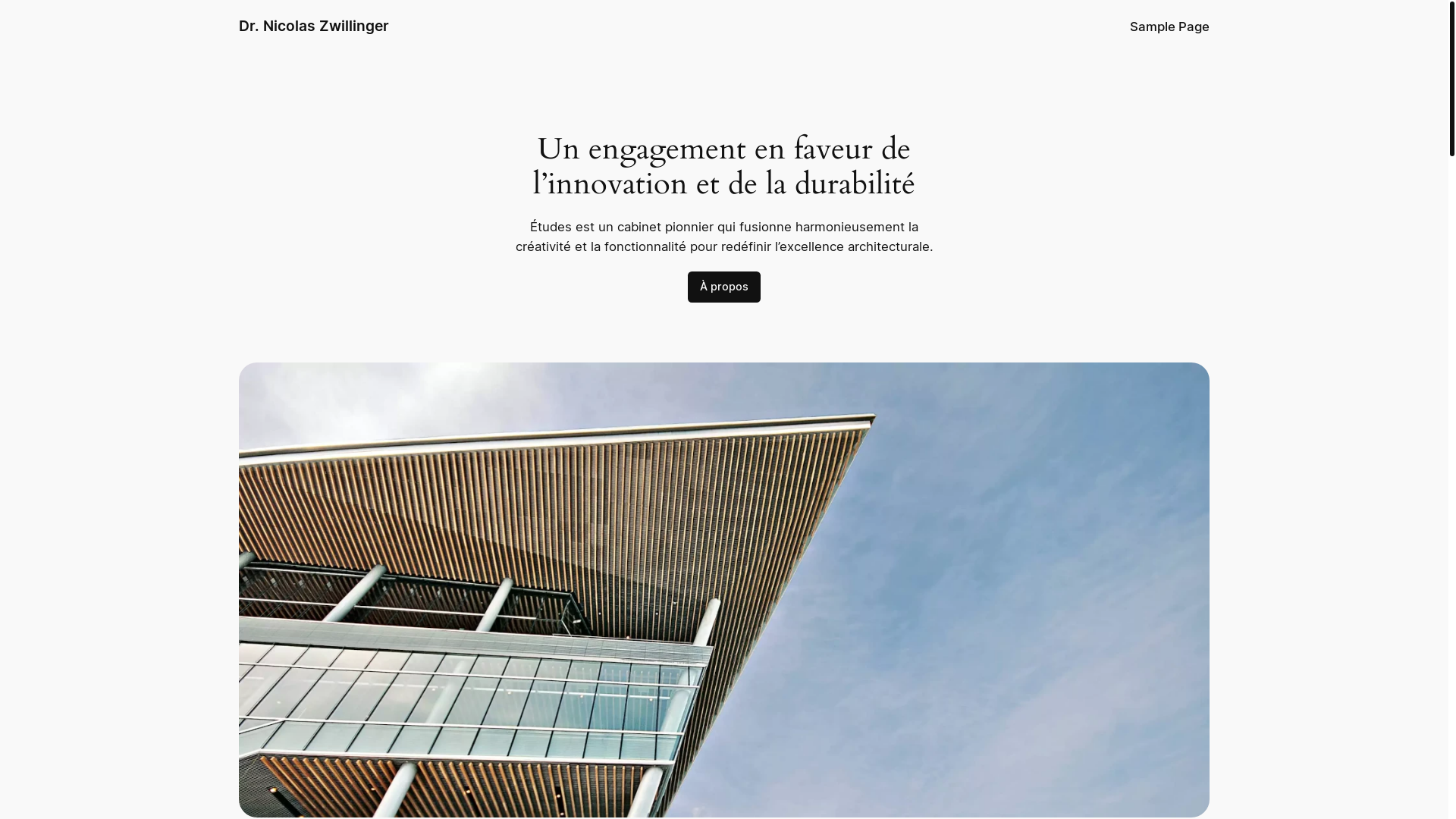website screenshot of https://docteur-zwillinger.fr/