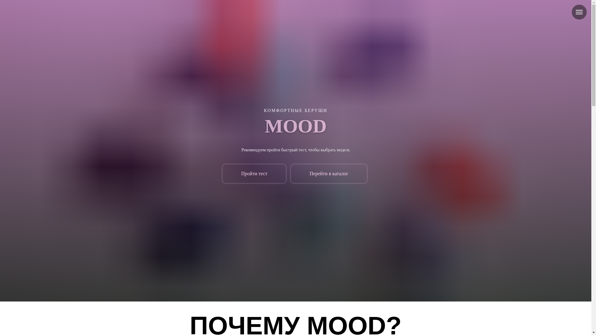 website screenshot of https://moodearplugs.by/