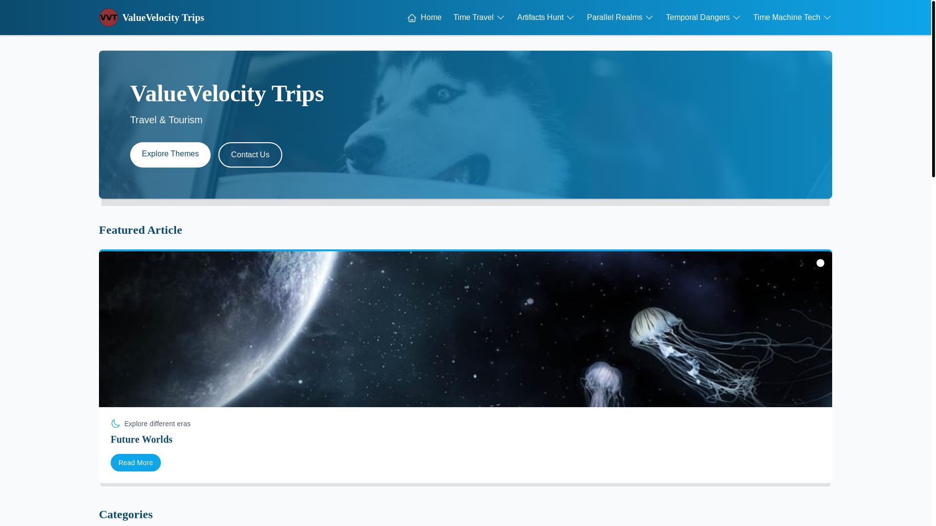 website screenshot of https://valuevelocitytrips.xyz/