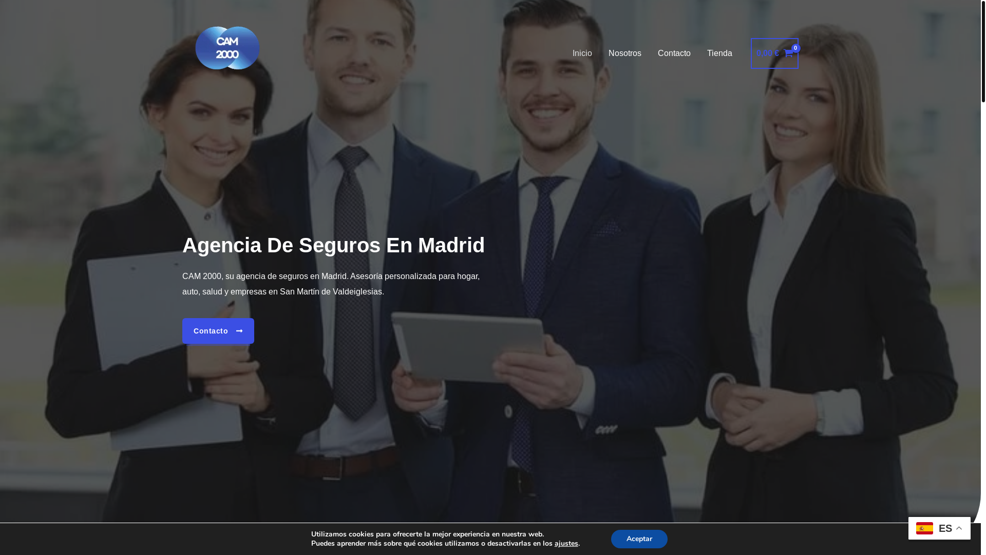 website screenshot of https://agenciadeseguroscam2000.es/