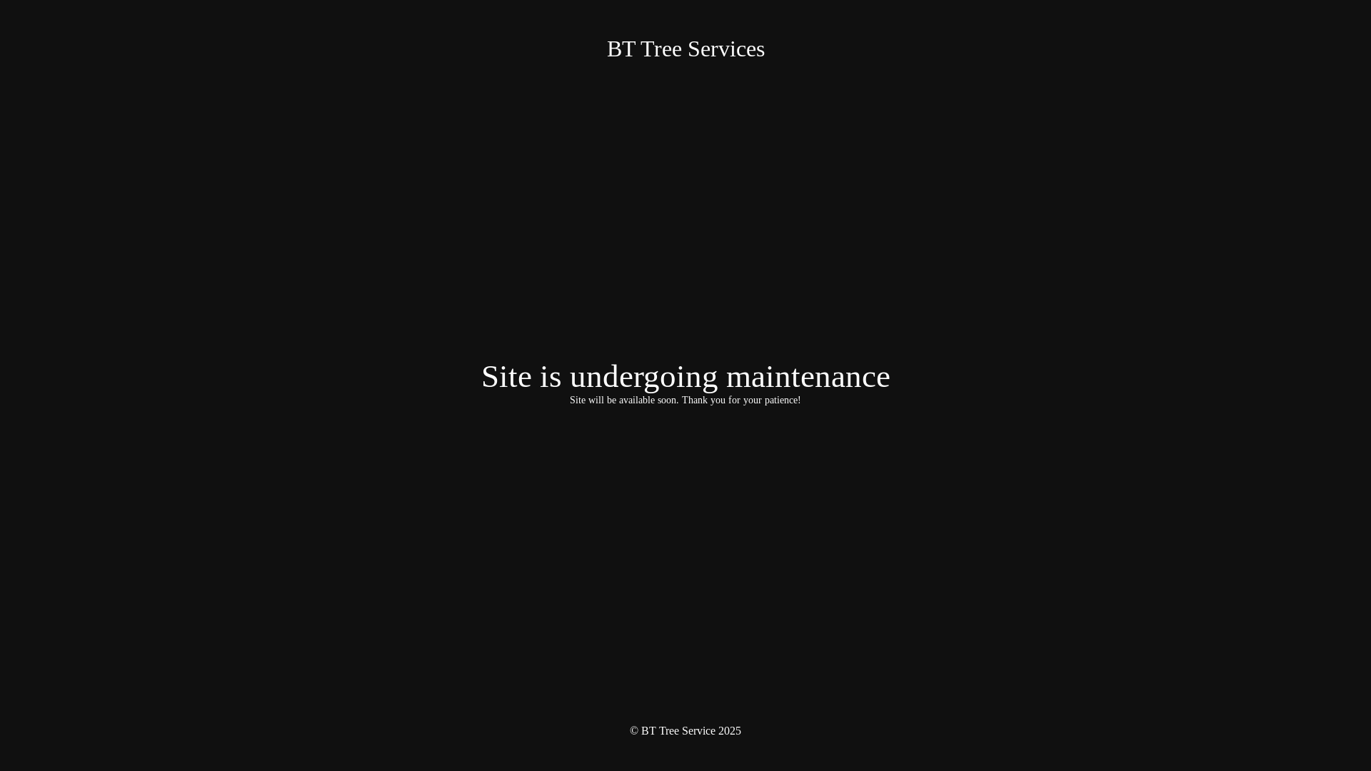 website screenshot of https://bttreeservice.com/