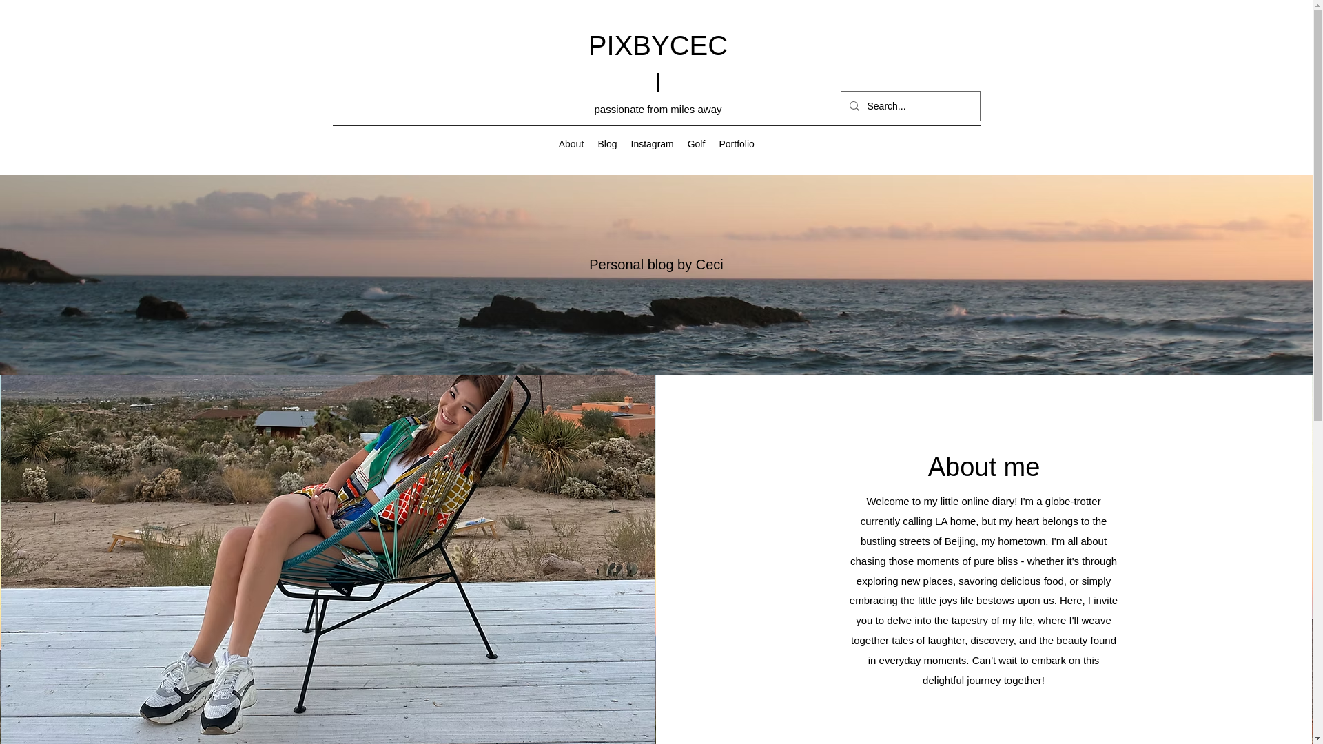 website screenshot of https://cecilializj.com/