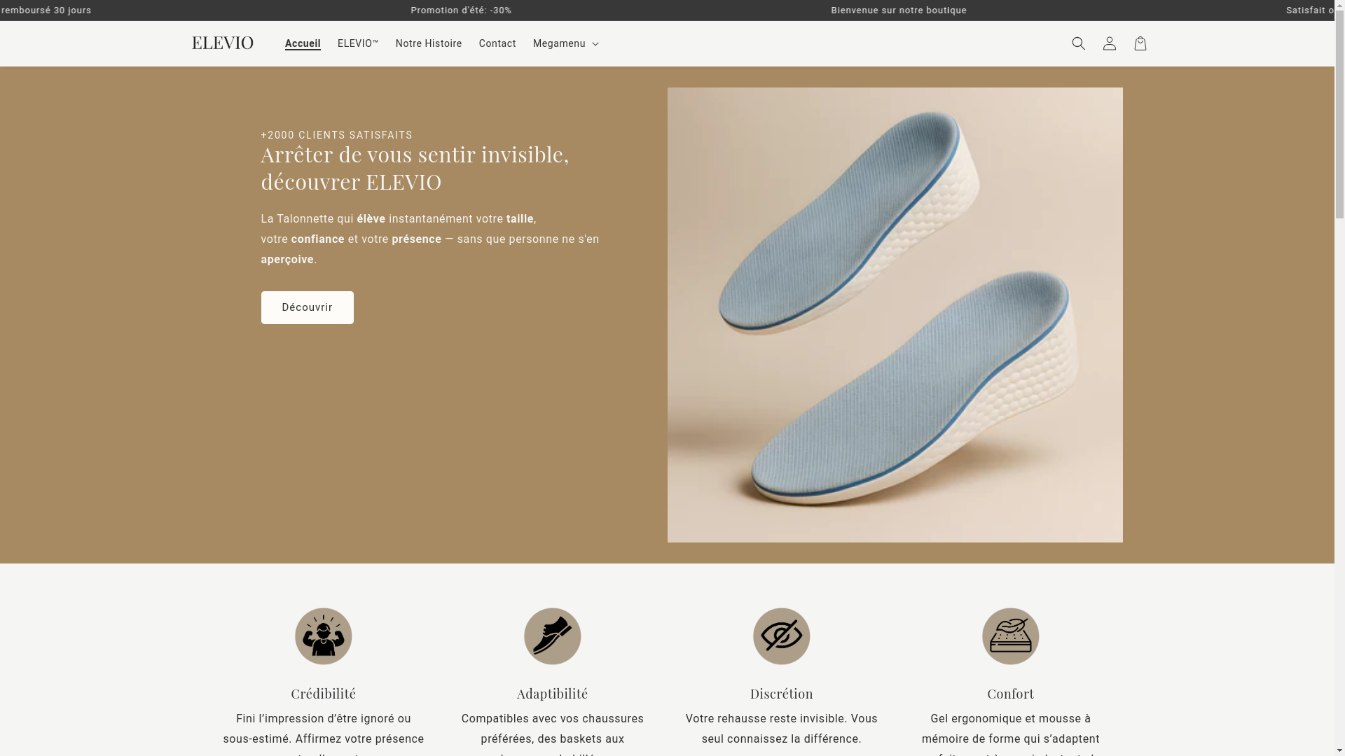 website screenshot of https://boutique-elevio.com/