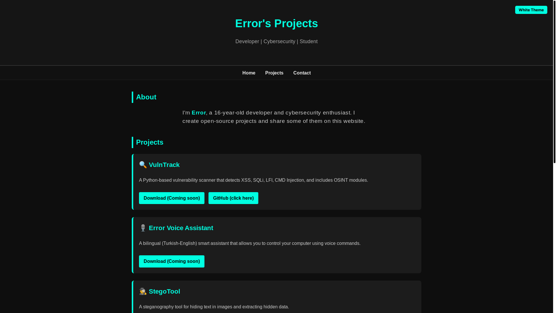website screenshot of https://cyberexe.com.tr/