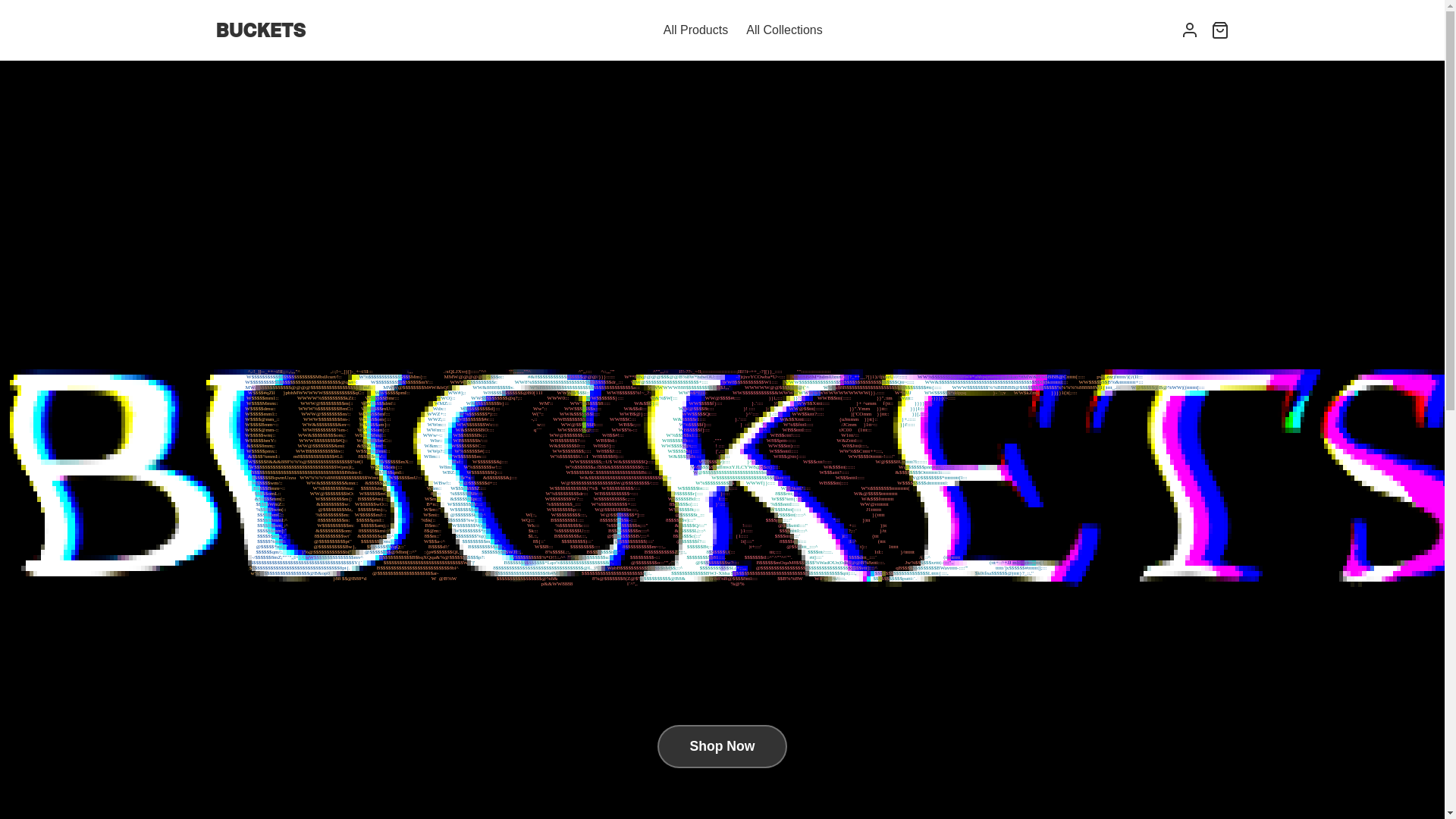 website screenshot of https://buckets-store.com/