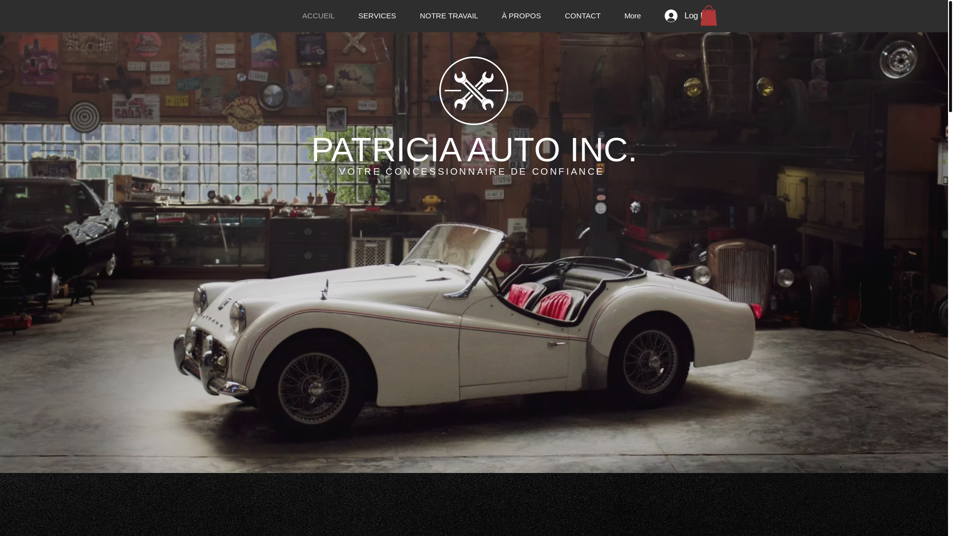 website screenshot of https://patriciaauto.com/