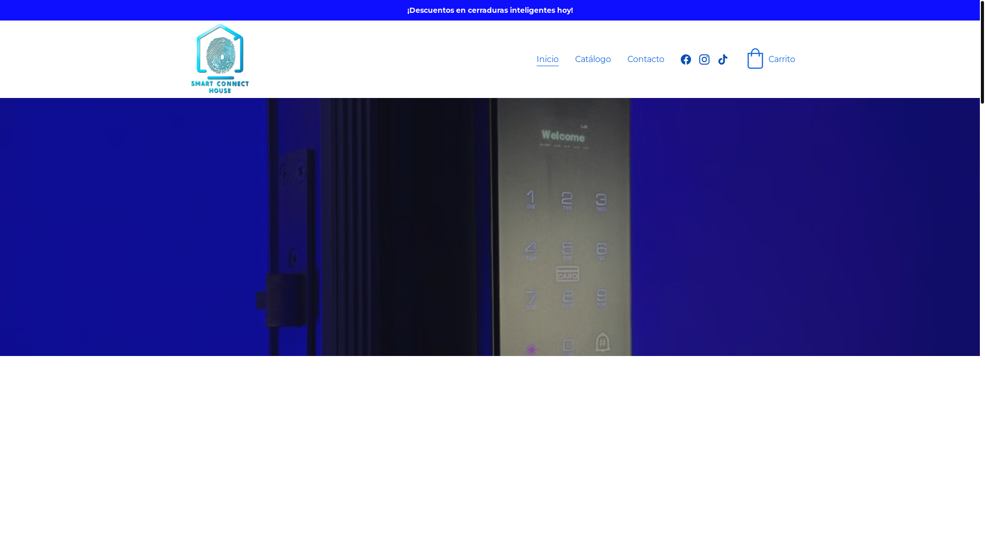 website screenshot of https://mylock.com.mx/