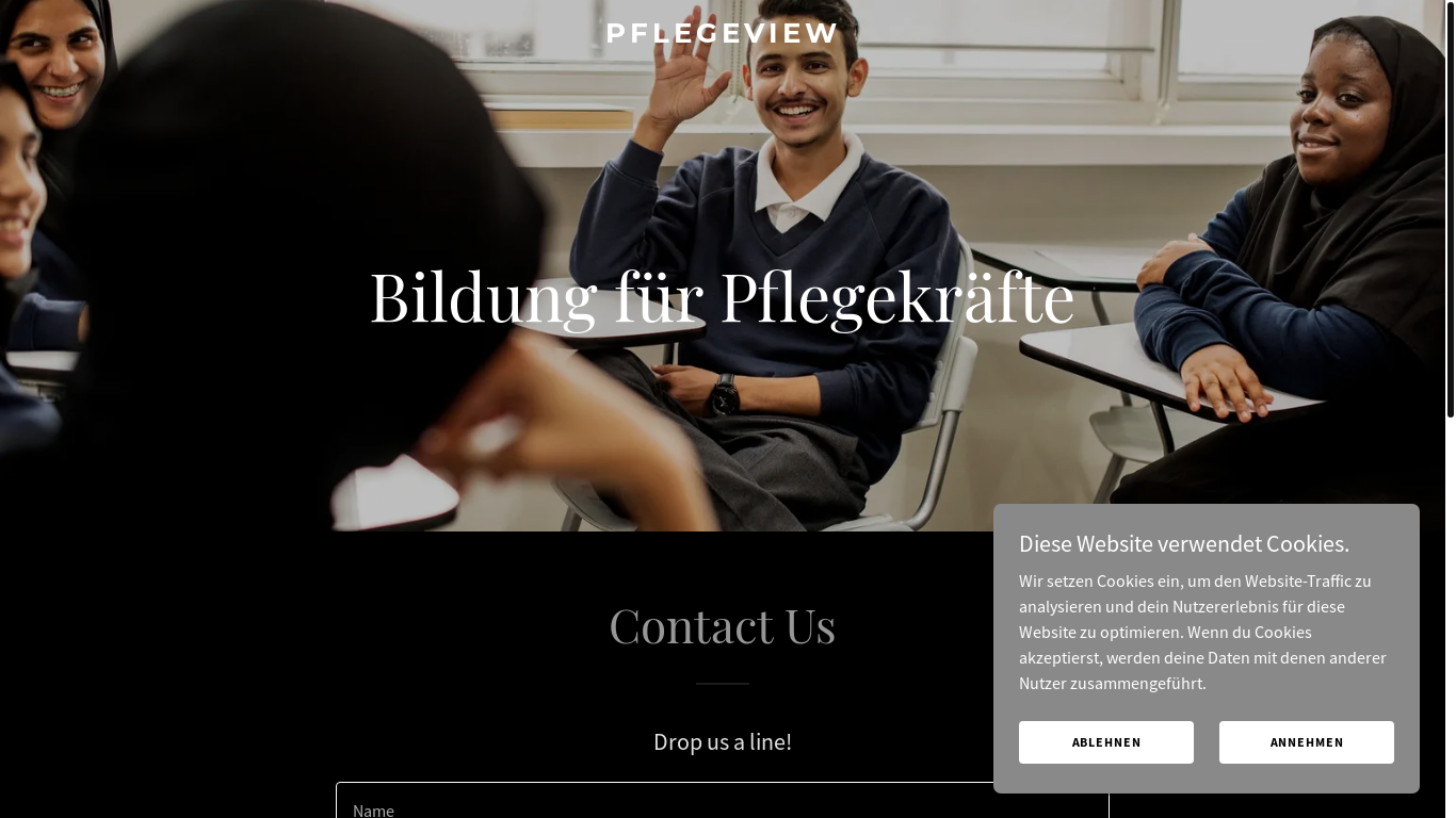 website screenshot of https://pflegeview.de/