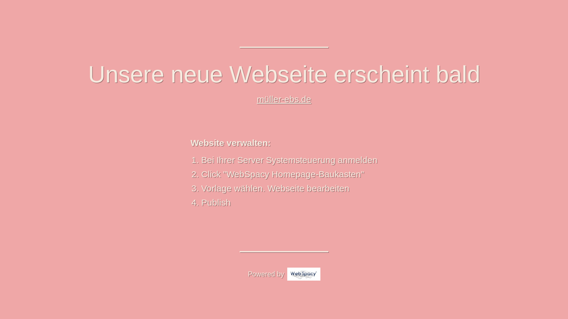 website screenshot of https://mueller-ebs.de/