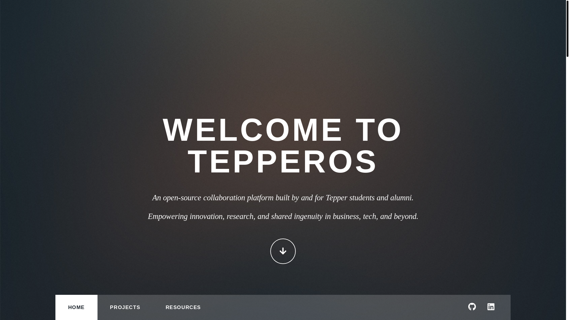 website screenshot of https://tepperos.com/