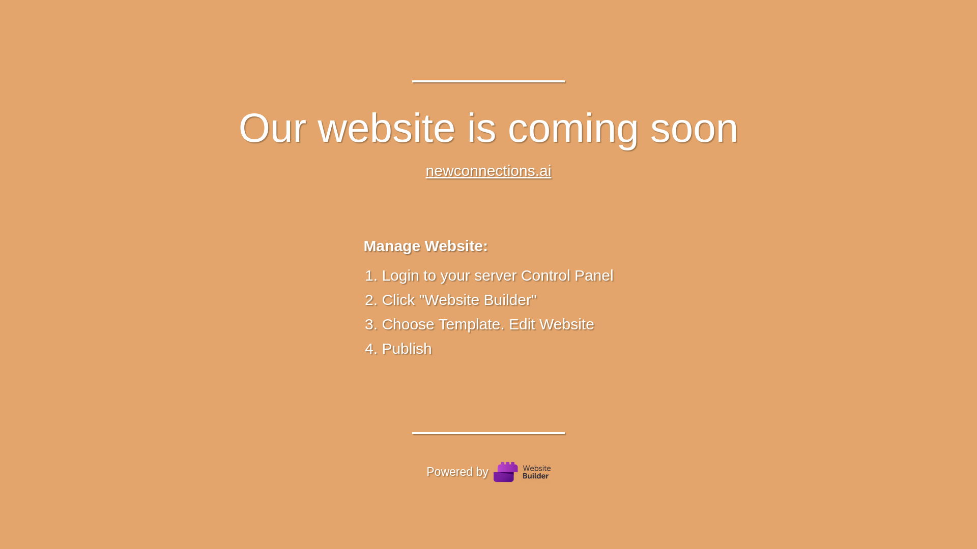 website screenshot of https://newconnections.ai/
