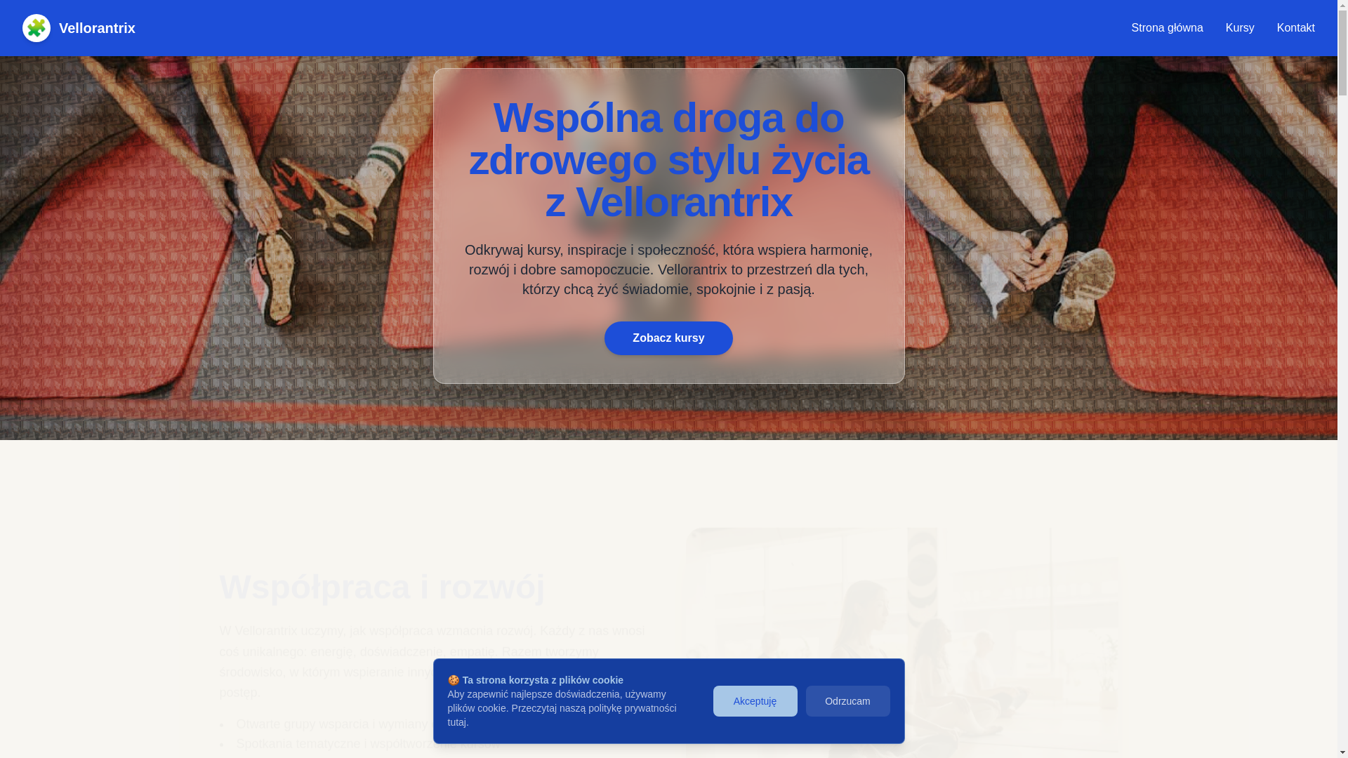 website screenshot of https://vellorantrix.eu/