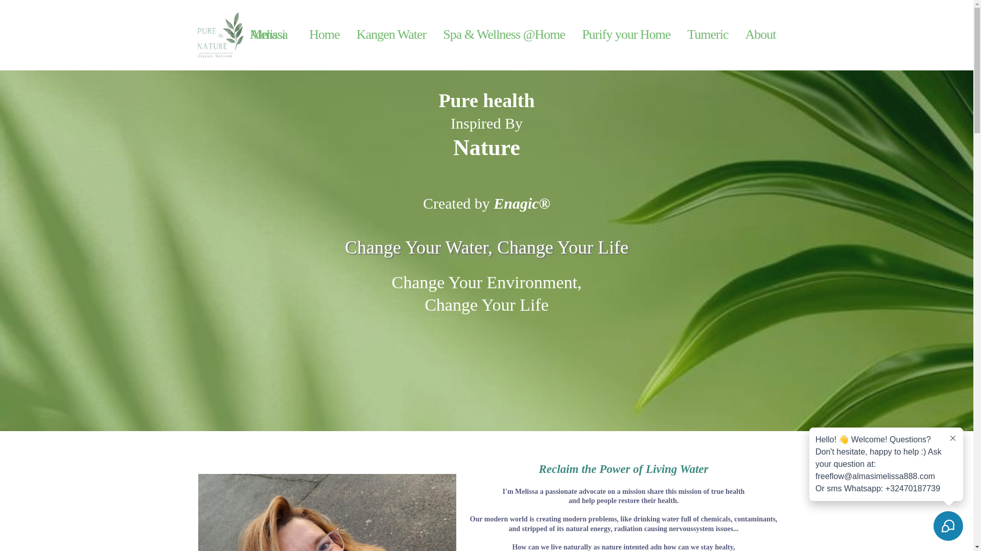 website screenshot of https://purenaturekangen.com/