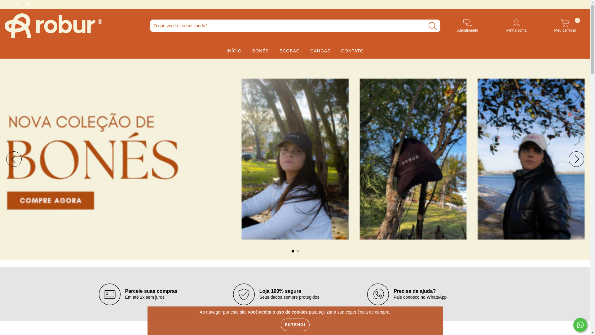 website screenshot of https://roburclothing.com.br/