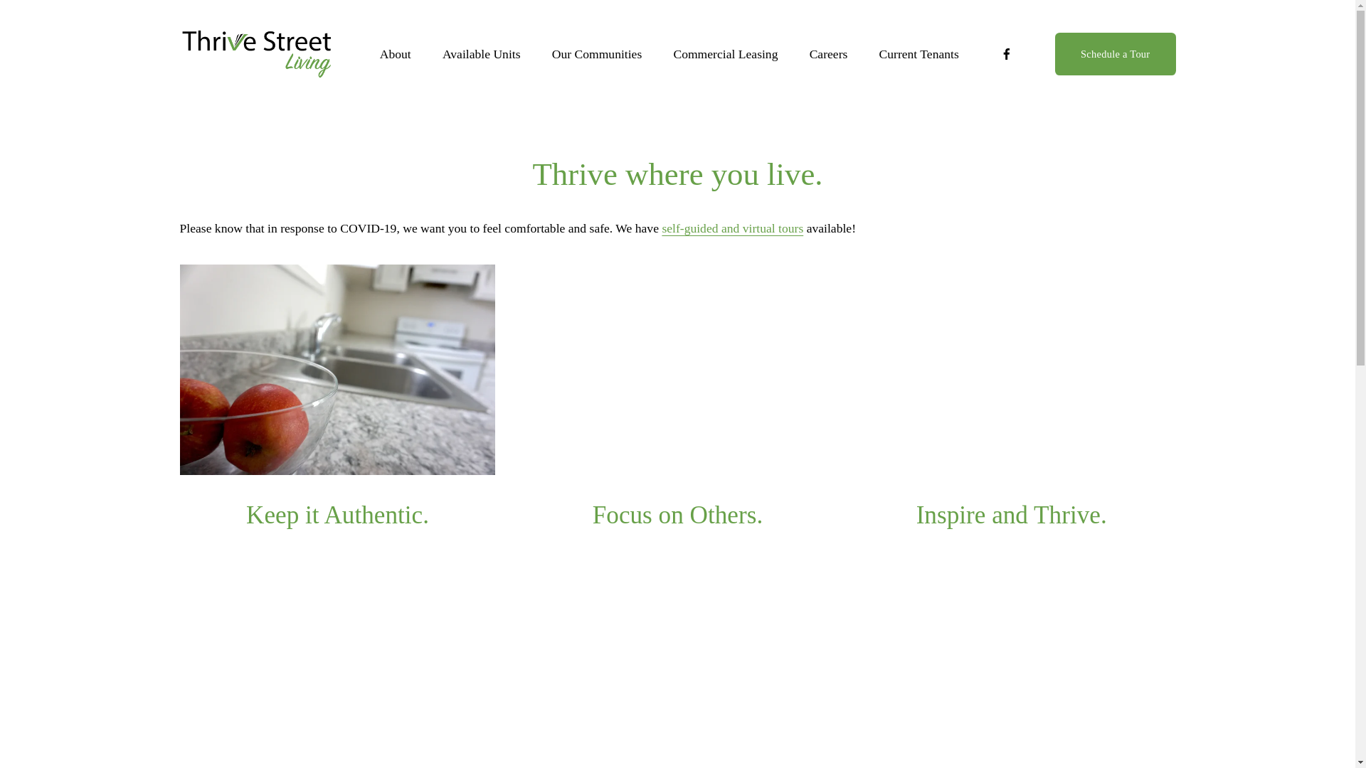 website screenshot of https://www.thrivestreetliving.com/