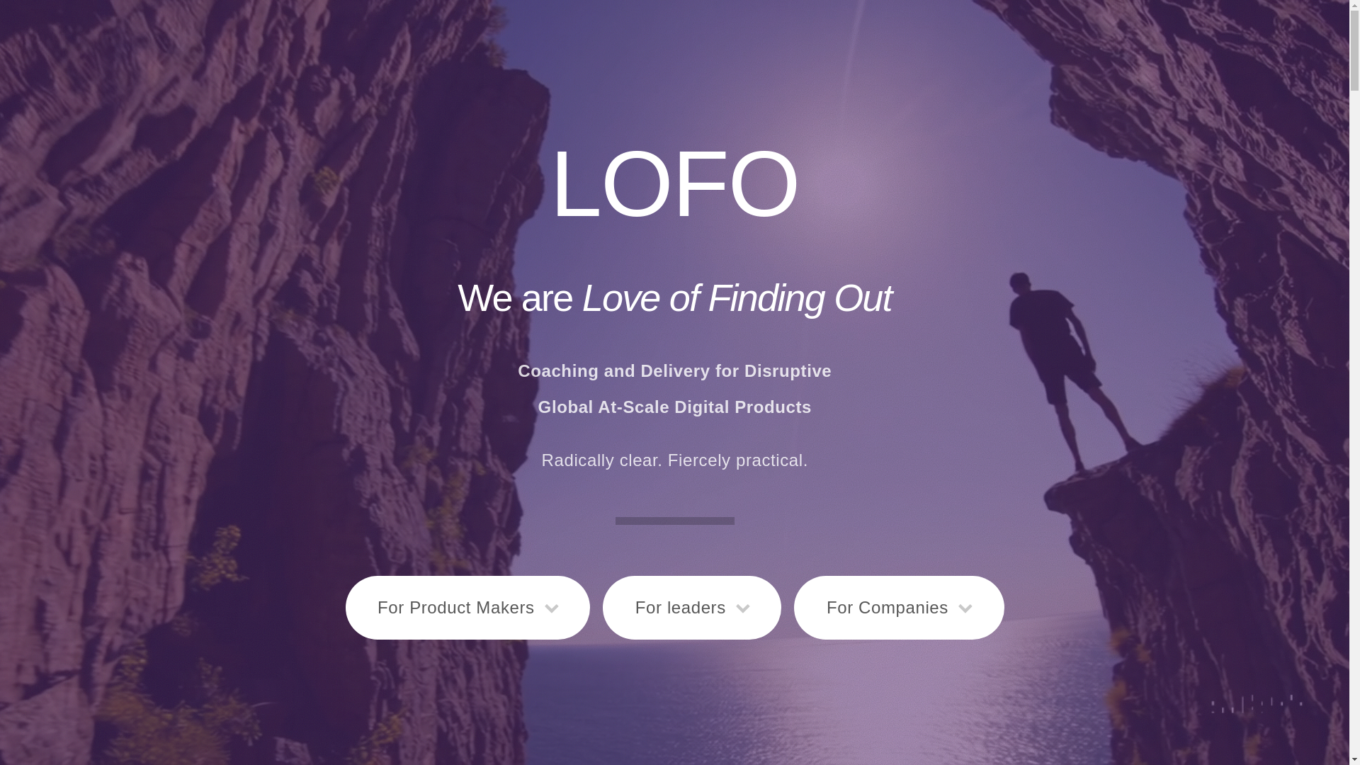 website screenshot of https://loveoffindingout.com/