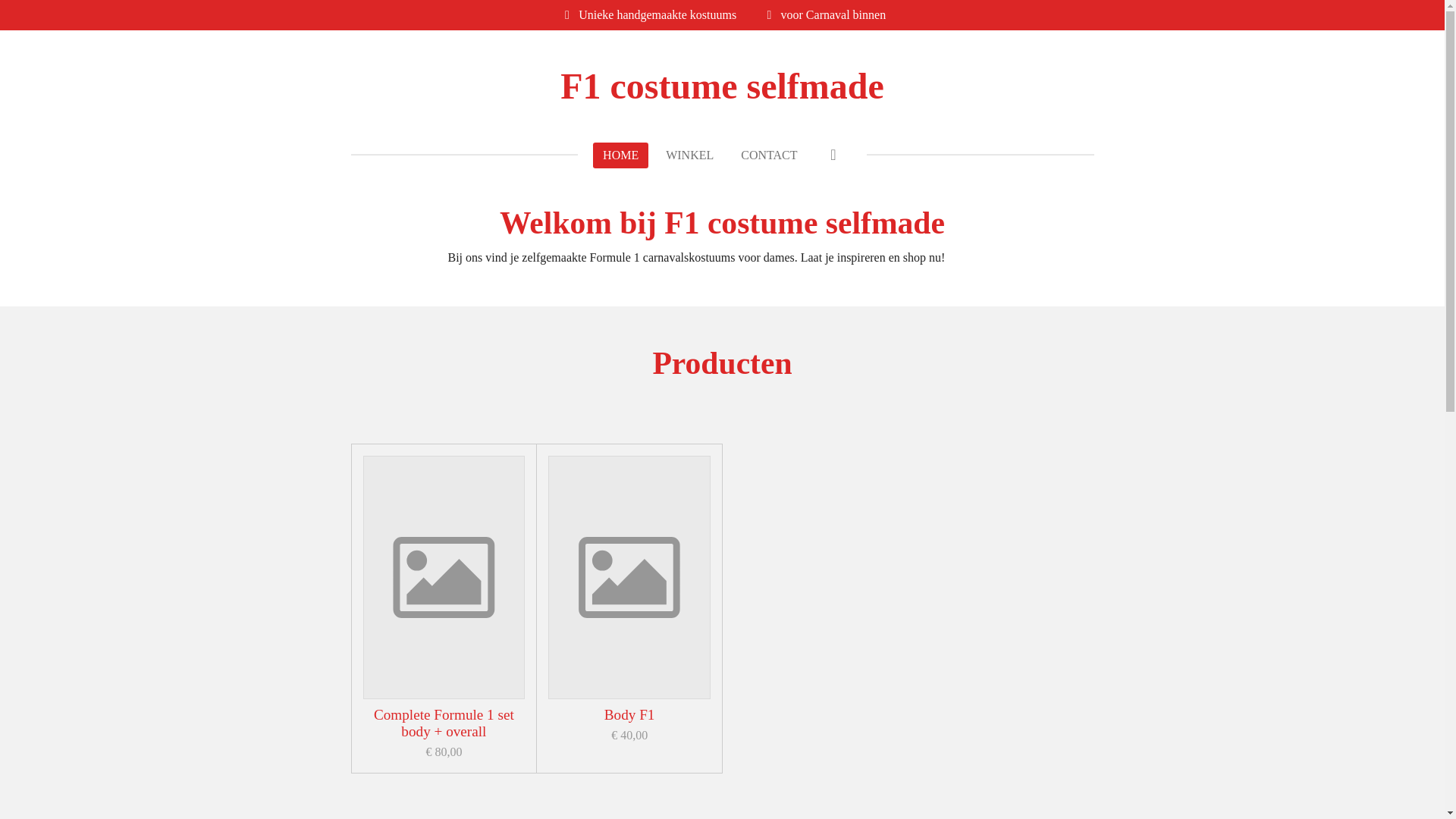 website screenshot of https://f1costumeselfmade.nl/
