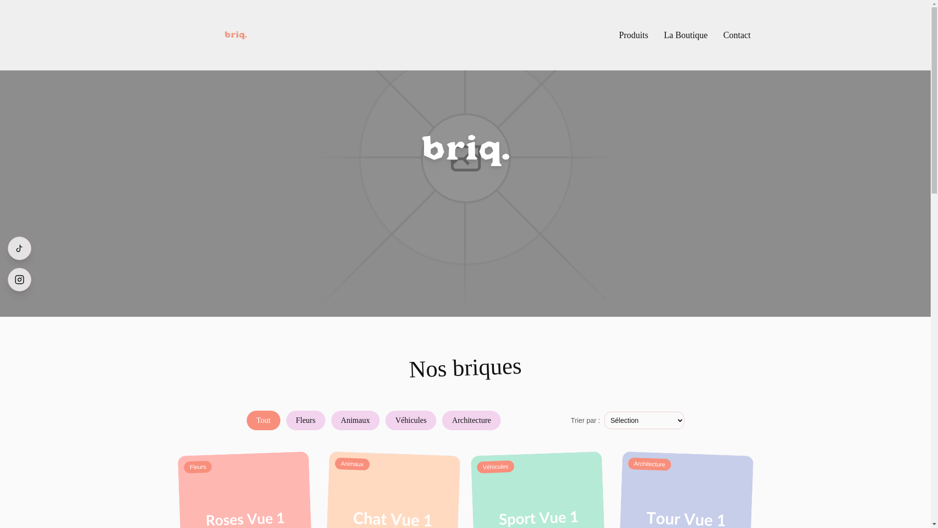 website screenshot of https://briqpoint.com/