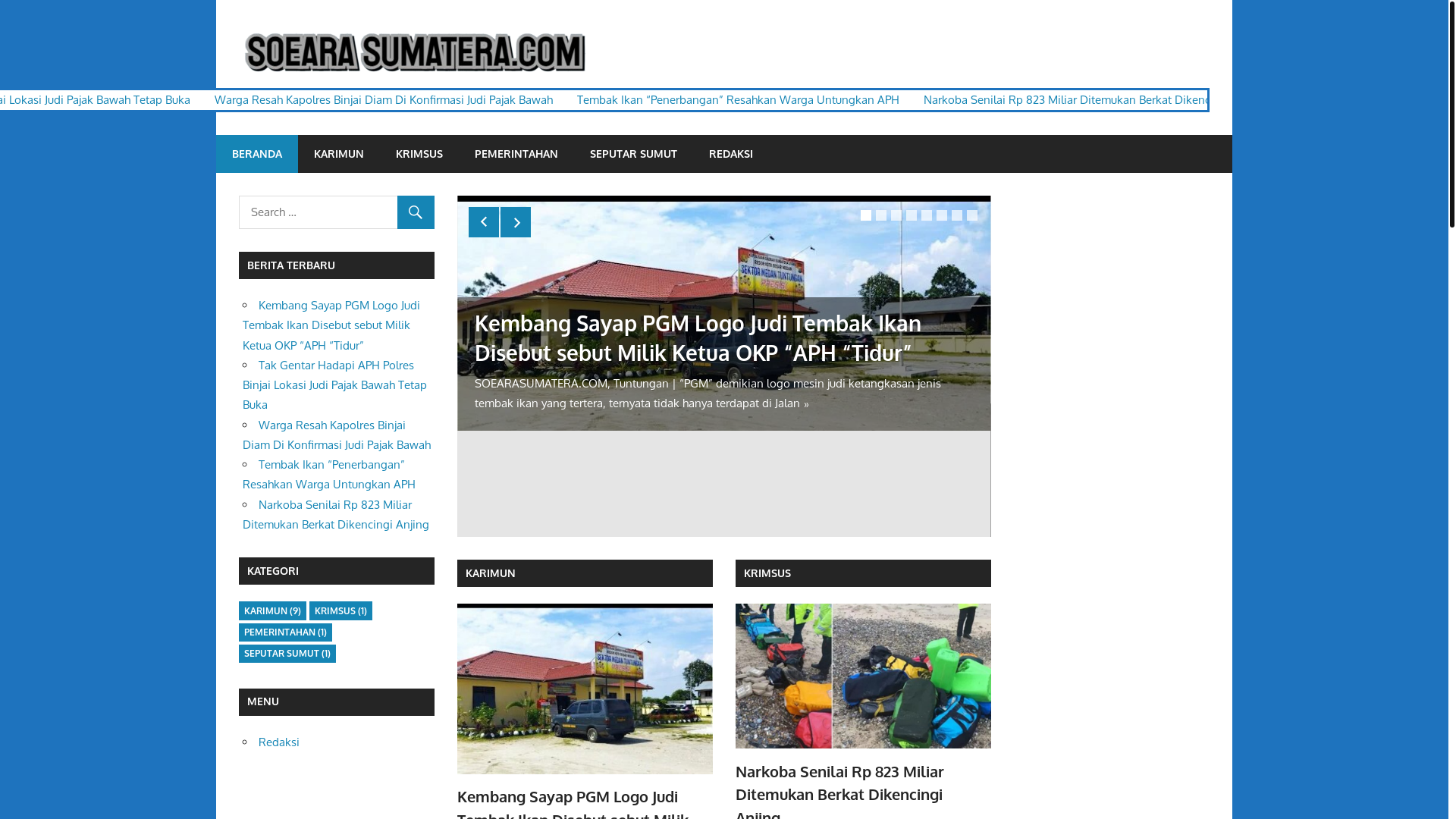 website screenshot of https://soearasumatera.com/