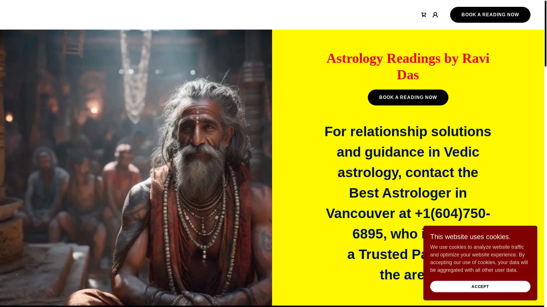 website screenshot of https://astrologervancouver.ca/