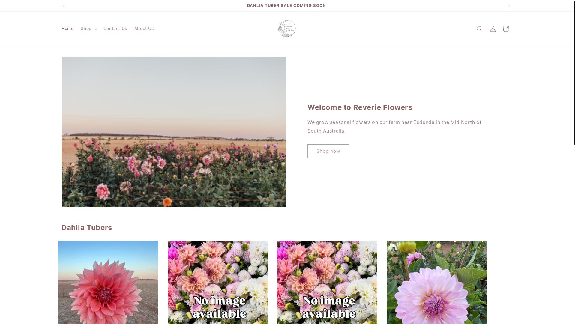 website screenshot of https://reverieflowers.com.au/