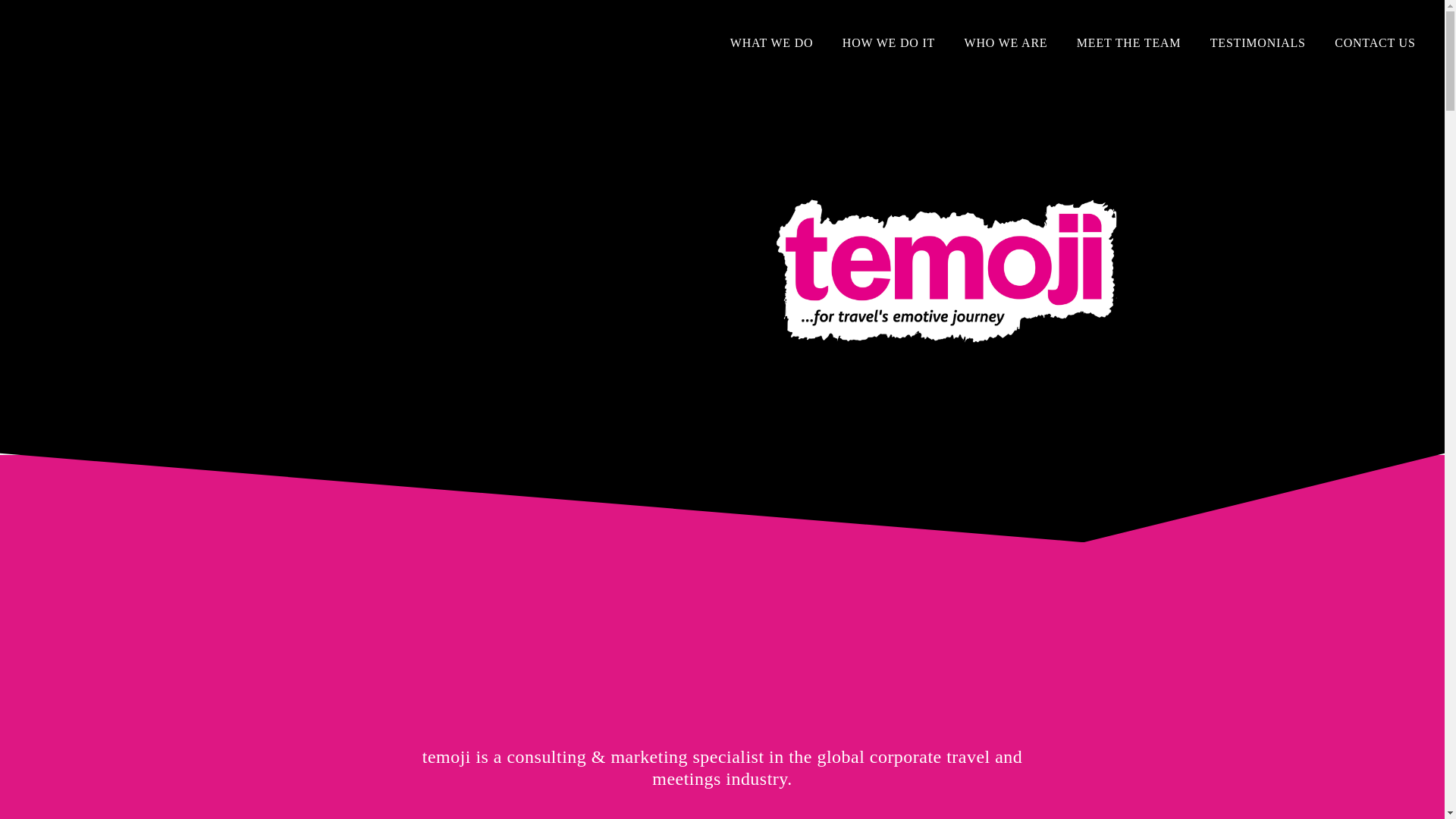 website screenshot of https://www.temoji.co.uk/