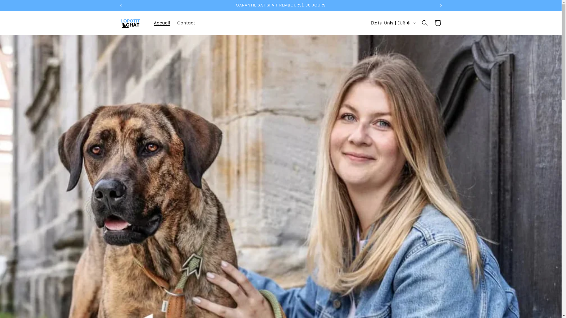 website screenshot of https://int-birkstock.shop/