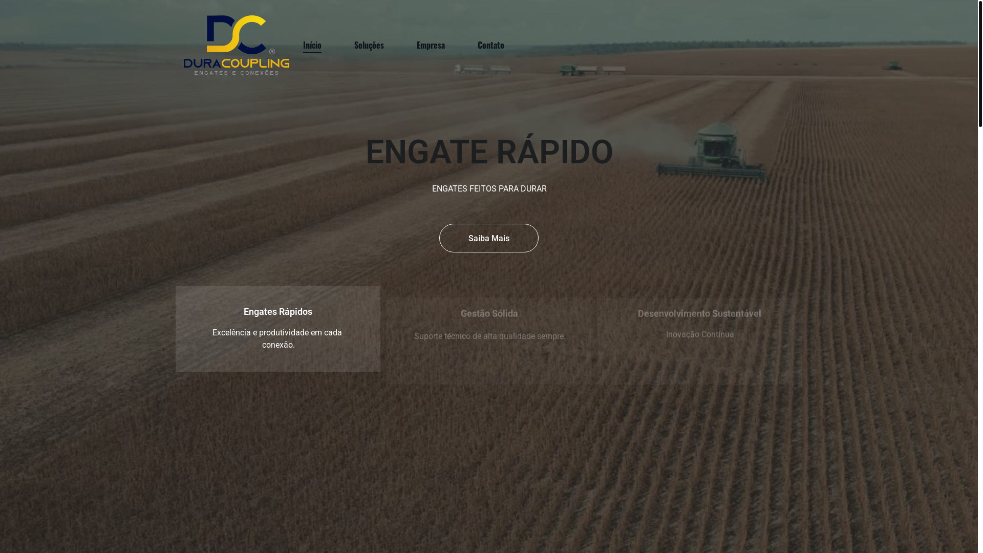 website screenshot of https://conexaoengaterapido.com.br/