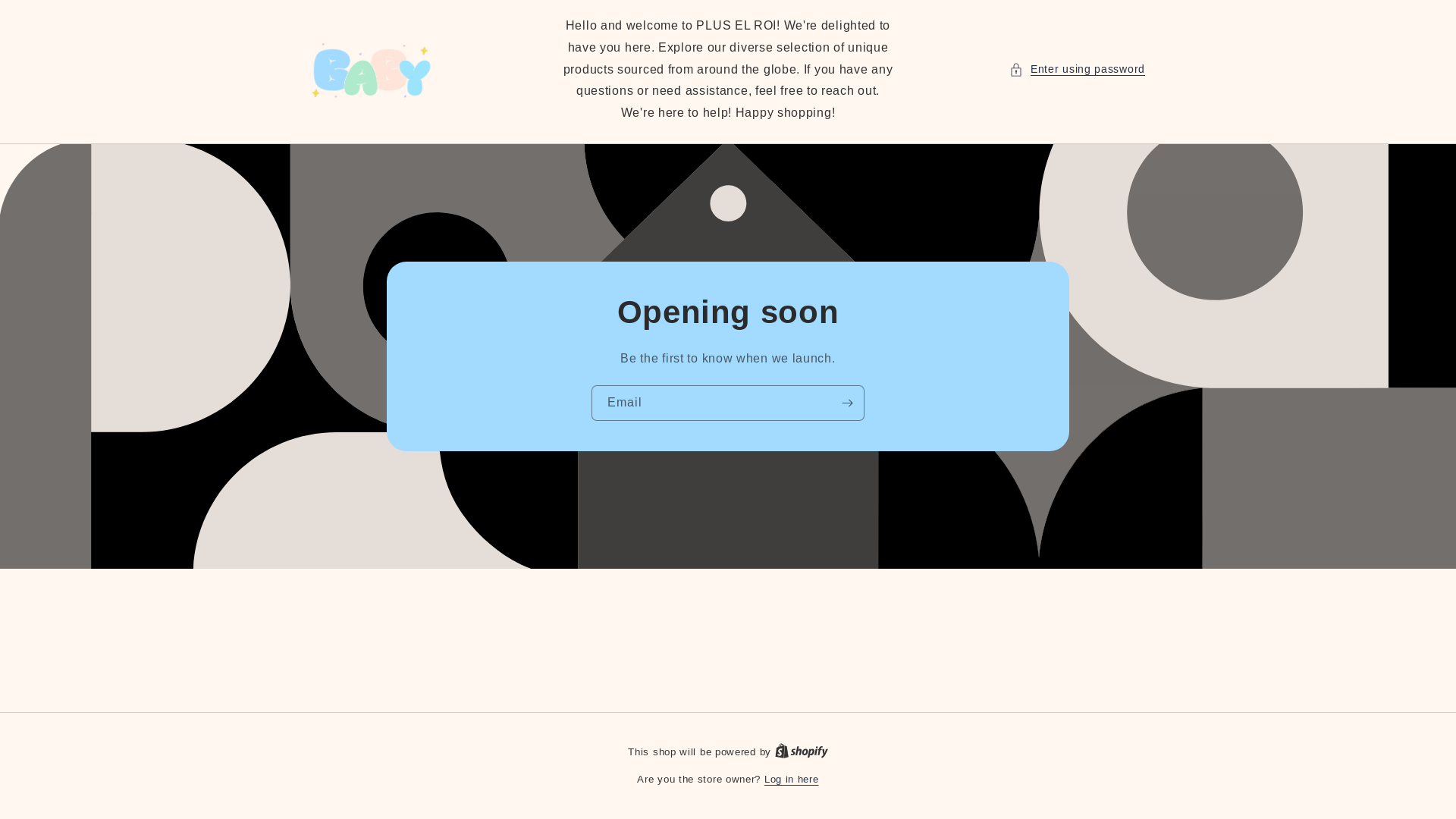 website screenshot of https://pluselstore.com/