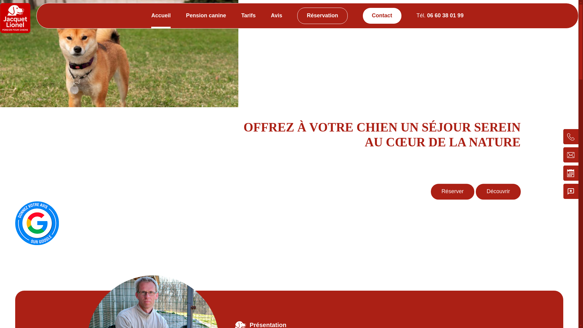 website screenshot of https://pensionchiens-ain.fr/