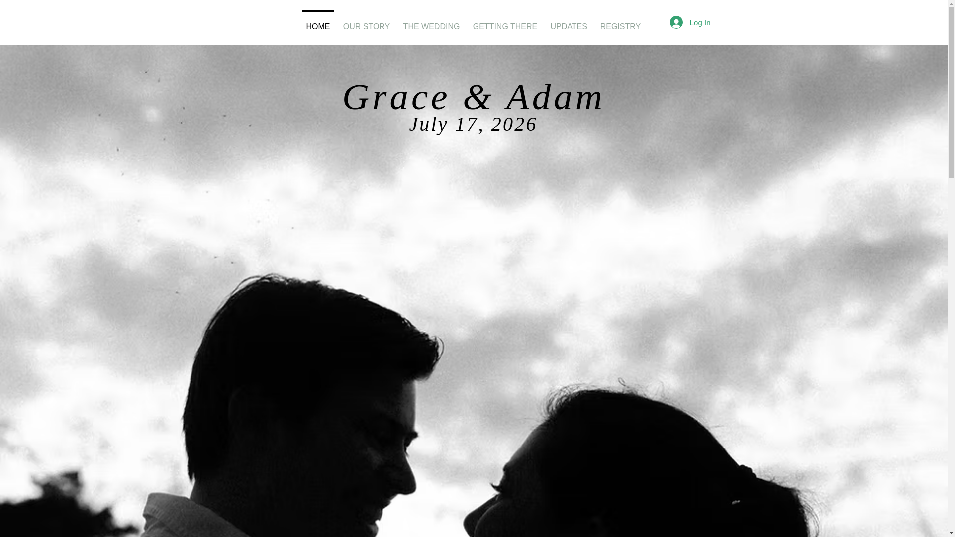 website screenshot of https://graceandadamwedding.com/
