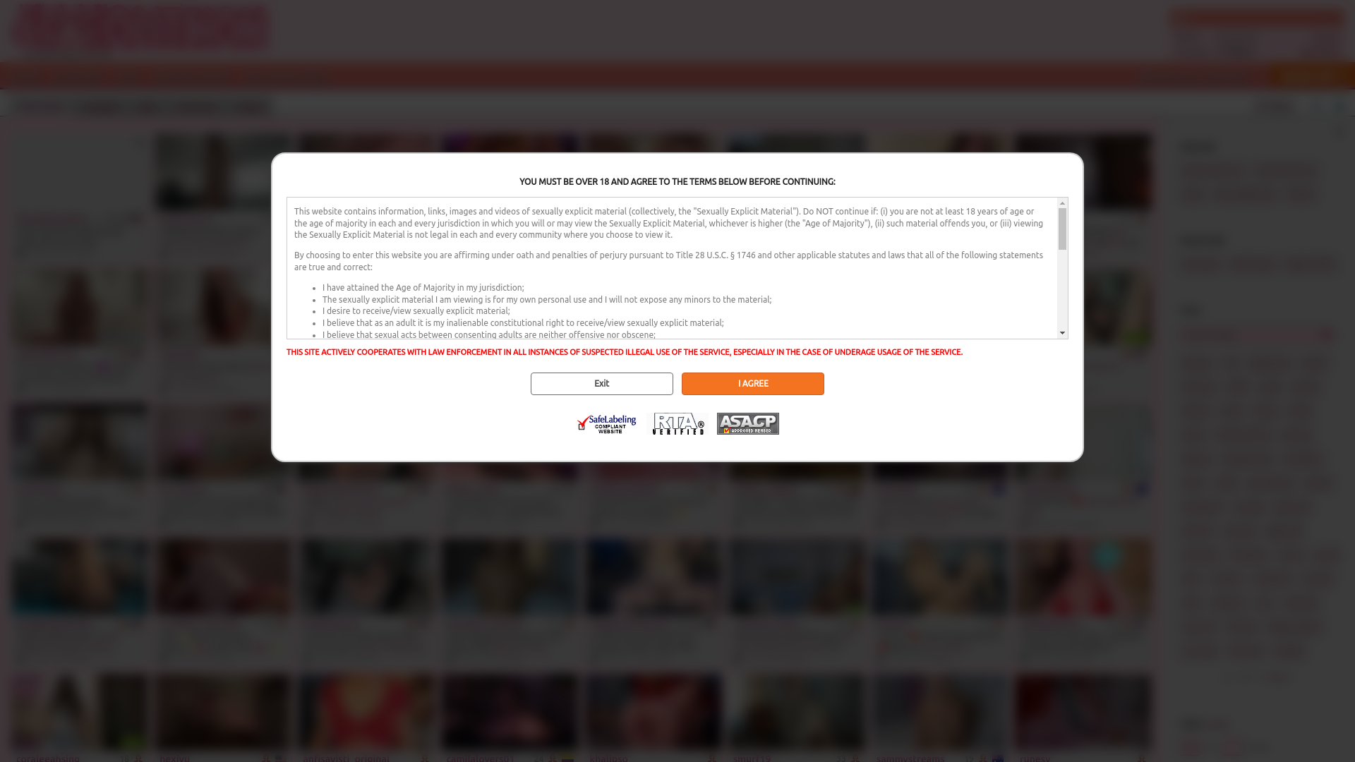 website screenshot of https://www.lolithon.nl/