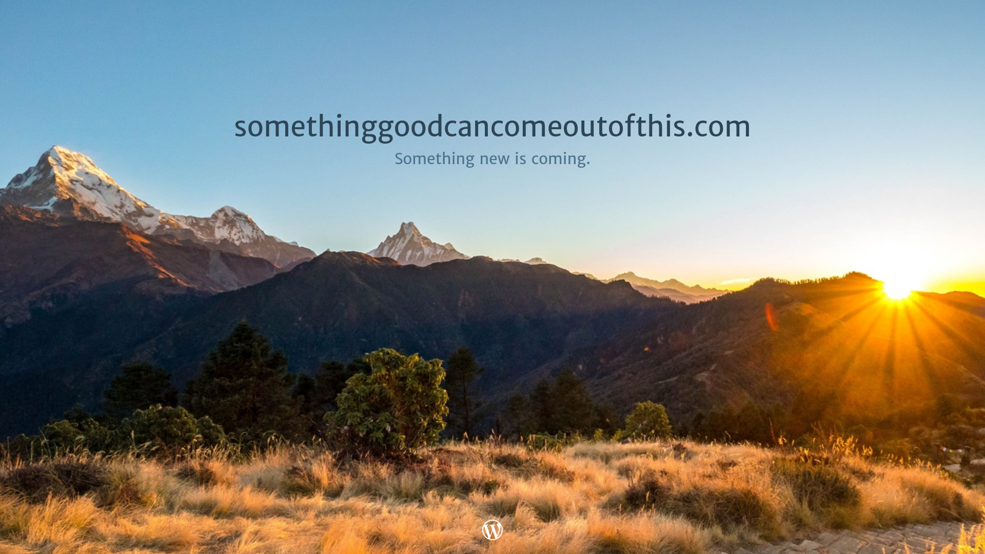website screenshot of https://somethinggoodcancomeoutofthis.com/